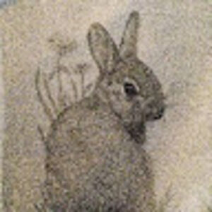 Meet your Posher, Kristine